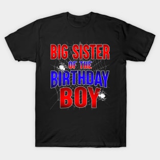 Big Sister Of The Birthday Boy  Spider Bday Party T-Shirt